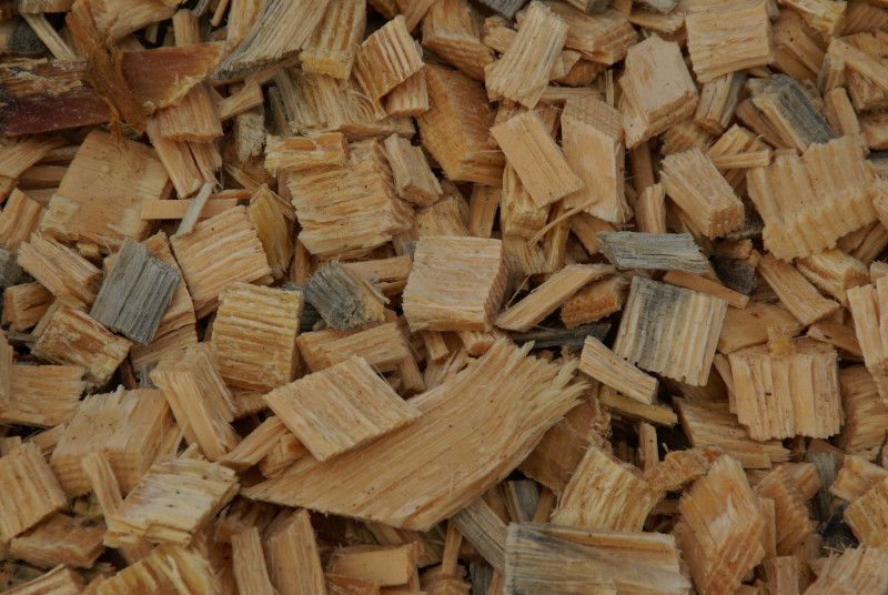Big wood chips