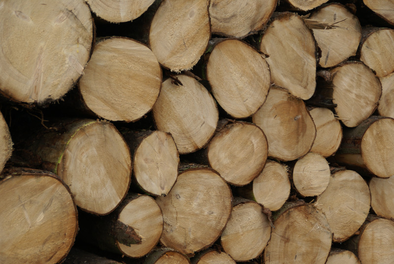 Rondins de bois
